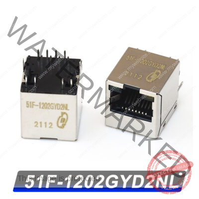 51F-1202GYD2NL RJ45 Ethernet Connector Module, providing stable network connections